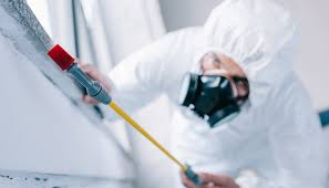 Best Commercial Pest Control  in Monroe, LA